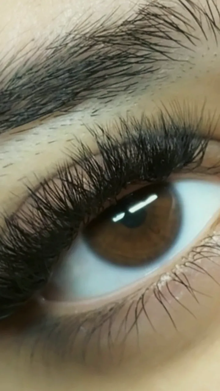 Close up of lash extensions by Sahej on a brown eye
